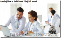 training Internal Audit Approach murah
