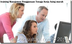 training Tata Cara Penggunaan Tenaga Kerja Asing murah