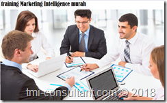 training Marketing Intelligence System murah