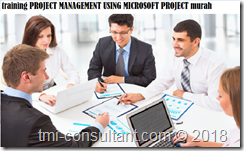 training Project Management Methodology murah