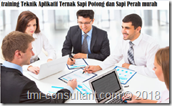 training Managemen Limbah Peternakan sapi murah