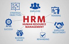 training hr management development program