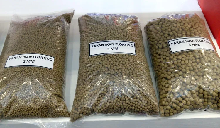 training pakan ikan terapung dan tenggelam