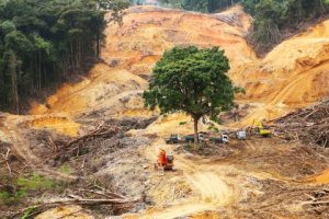 training reklamasi hutan